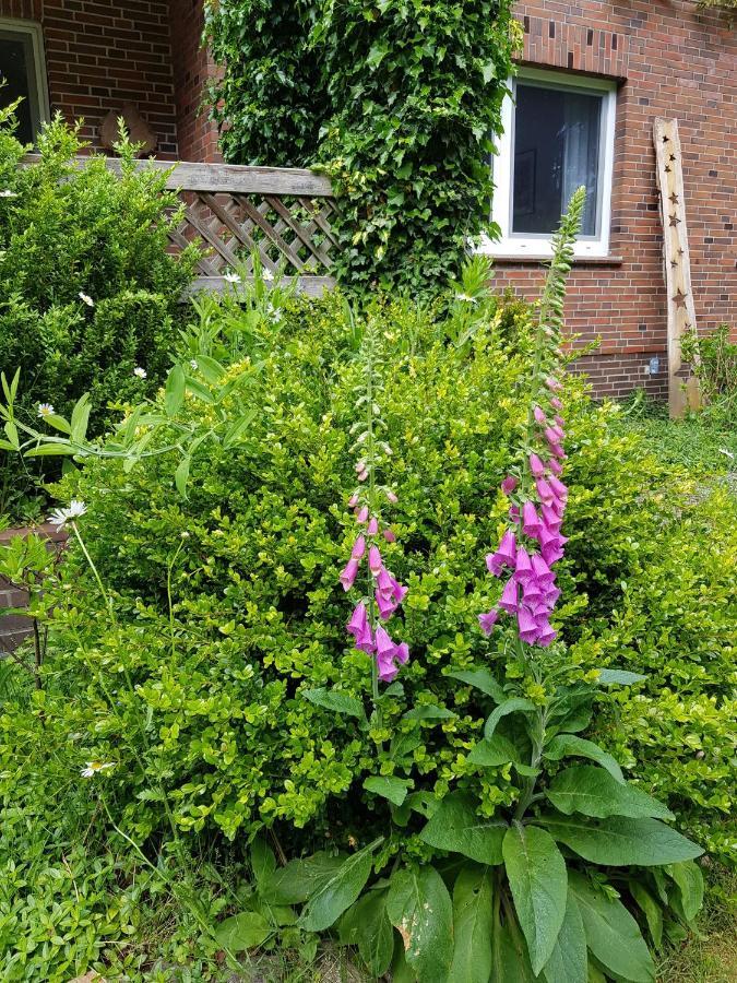 Ferienwohnung Im Naturgarten Schneverdingen Bagian luar foto
